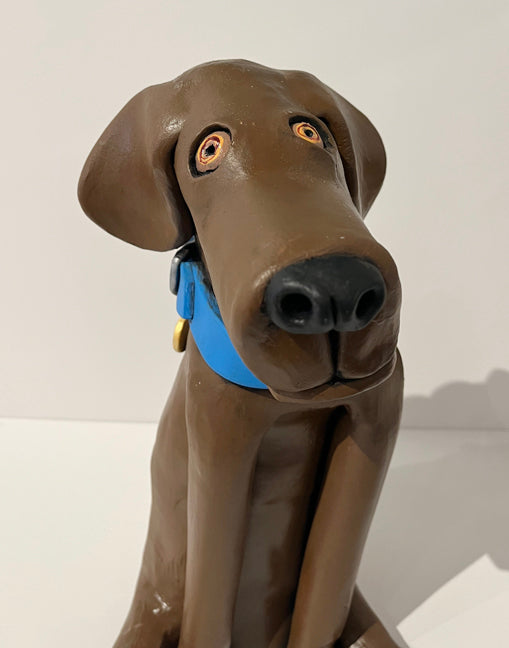 Brown Lab