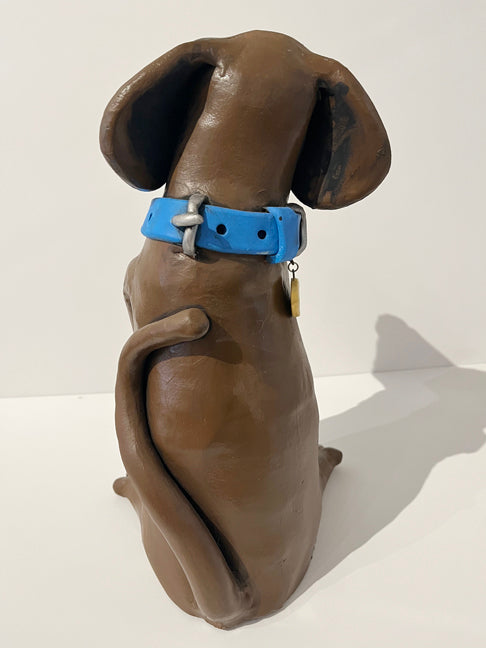 Brown Lab