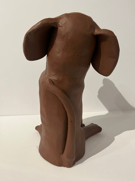 Brown Lab
