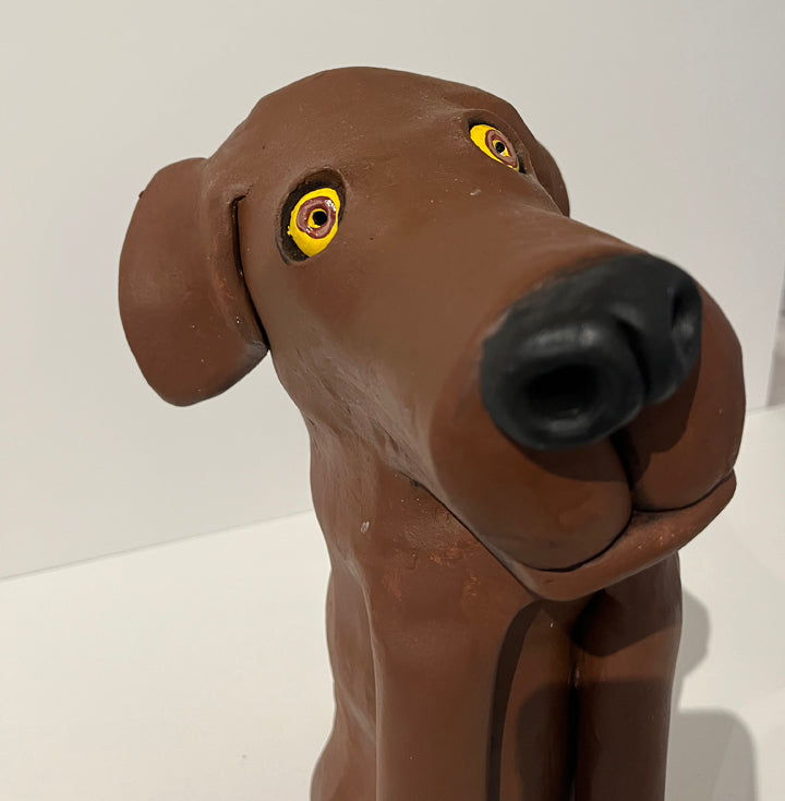 Brown Lab