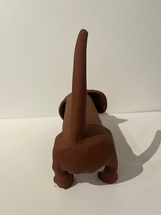 Dachshund