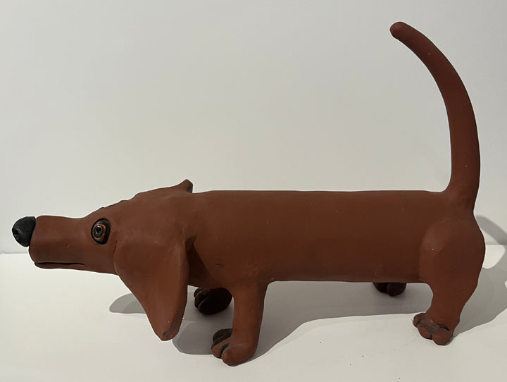 Dachshund