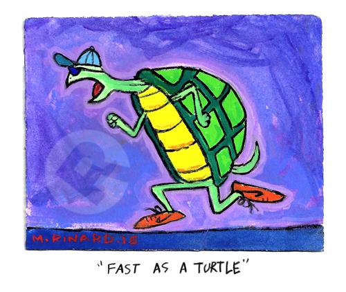 Fast As A Turtle