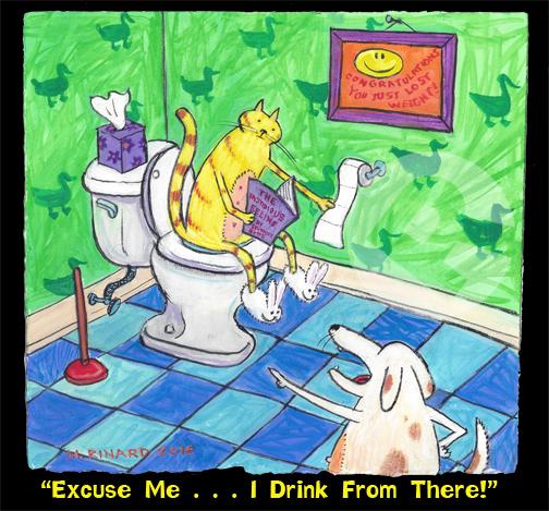 Excuse Me... I Drink From There!