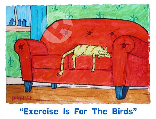 Exercise Is For The Birds