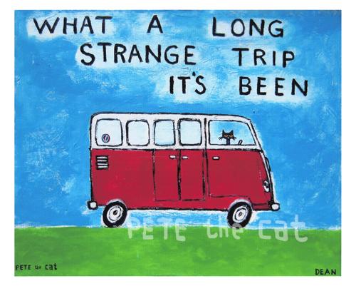 What A Long Strange Trip It's Been