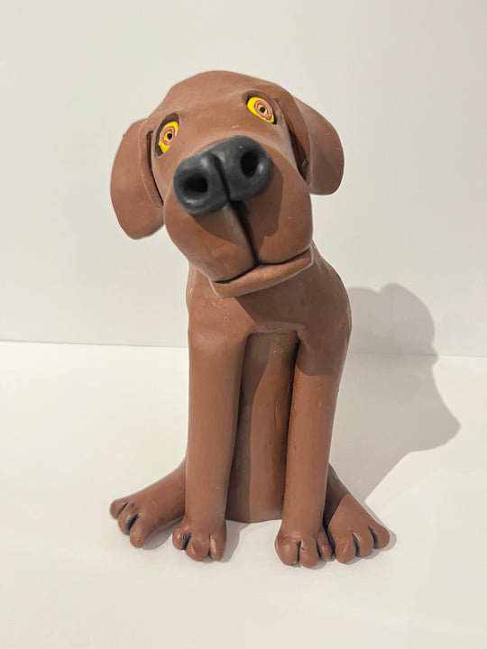 Brown Lab