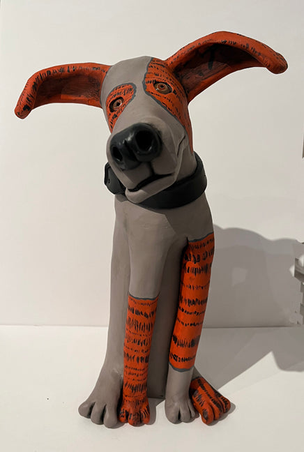 Orange & Grey Dog with Black Collar