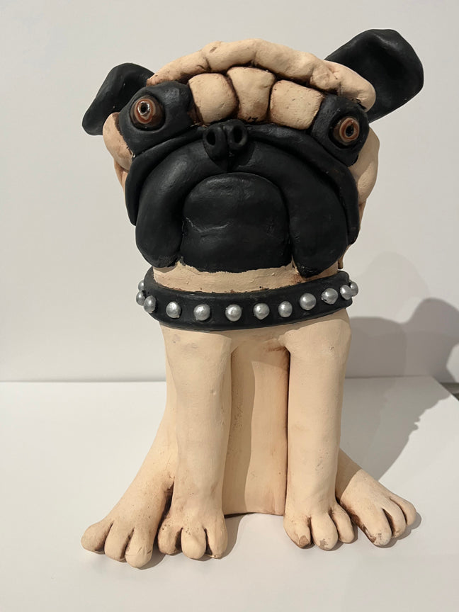 Pug with Collar