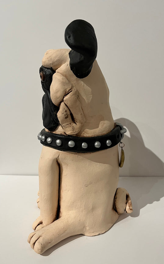 Pug with Collar
