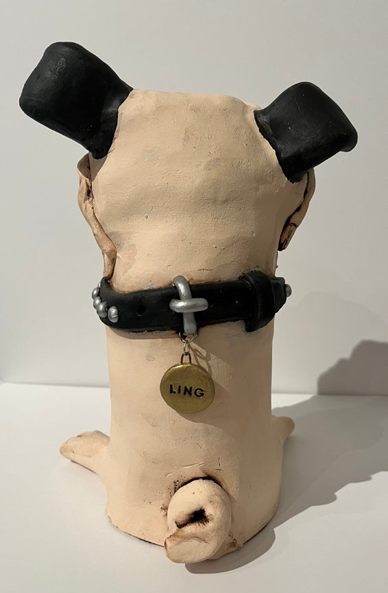 Pug with Collar