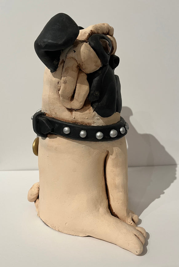 Pug with Collar