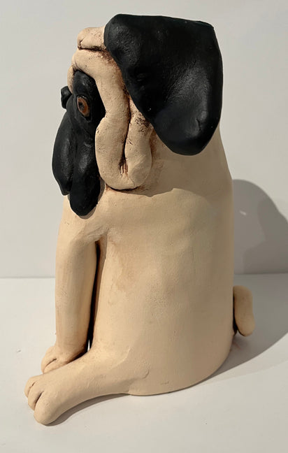 files/PugII_Side1.jpg