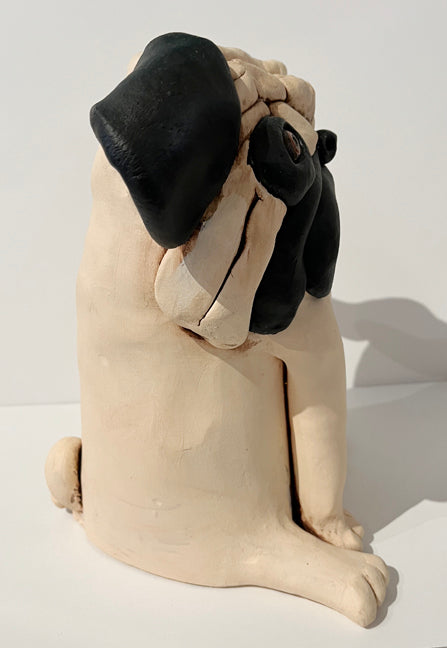 files/PugII_Side2.jpg