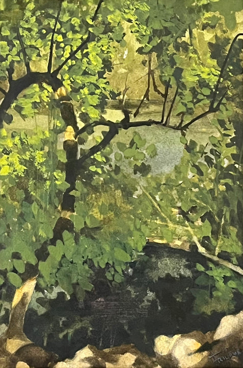 Audubon Park Original