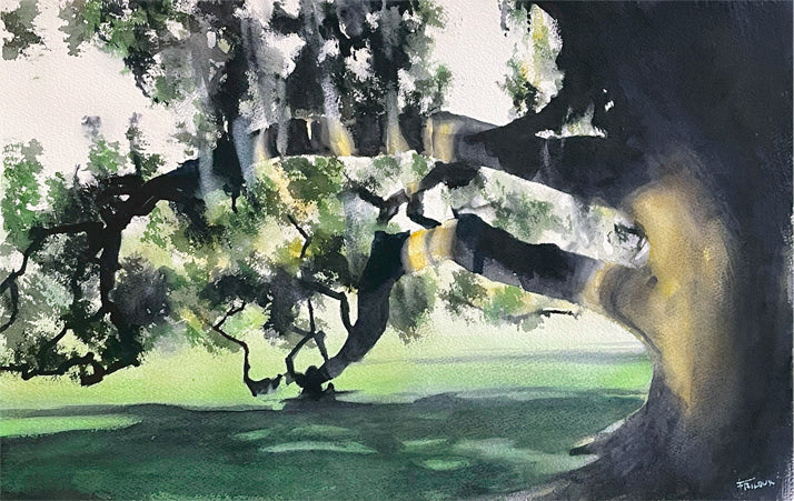 City Park Tree by Sean Friloux