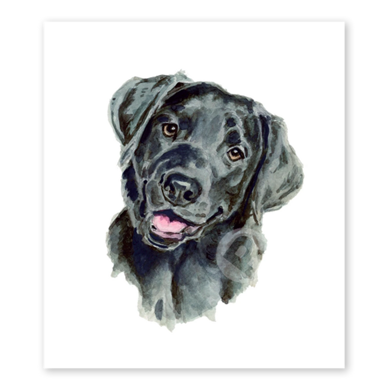 files/black-lab-portrait-dog-art-gallery-rinard.webp