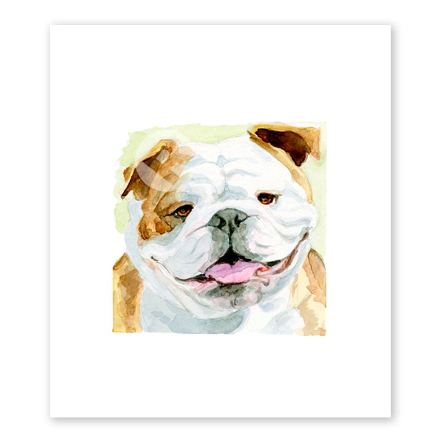 Bulldog