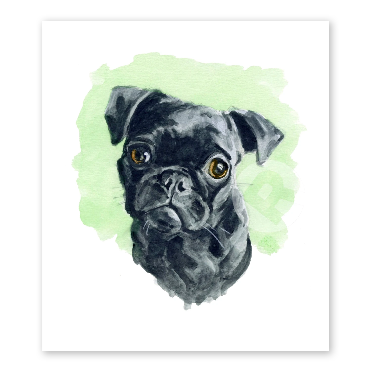 Black Pug