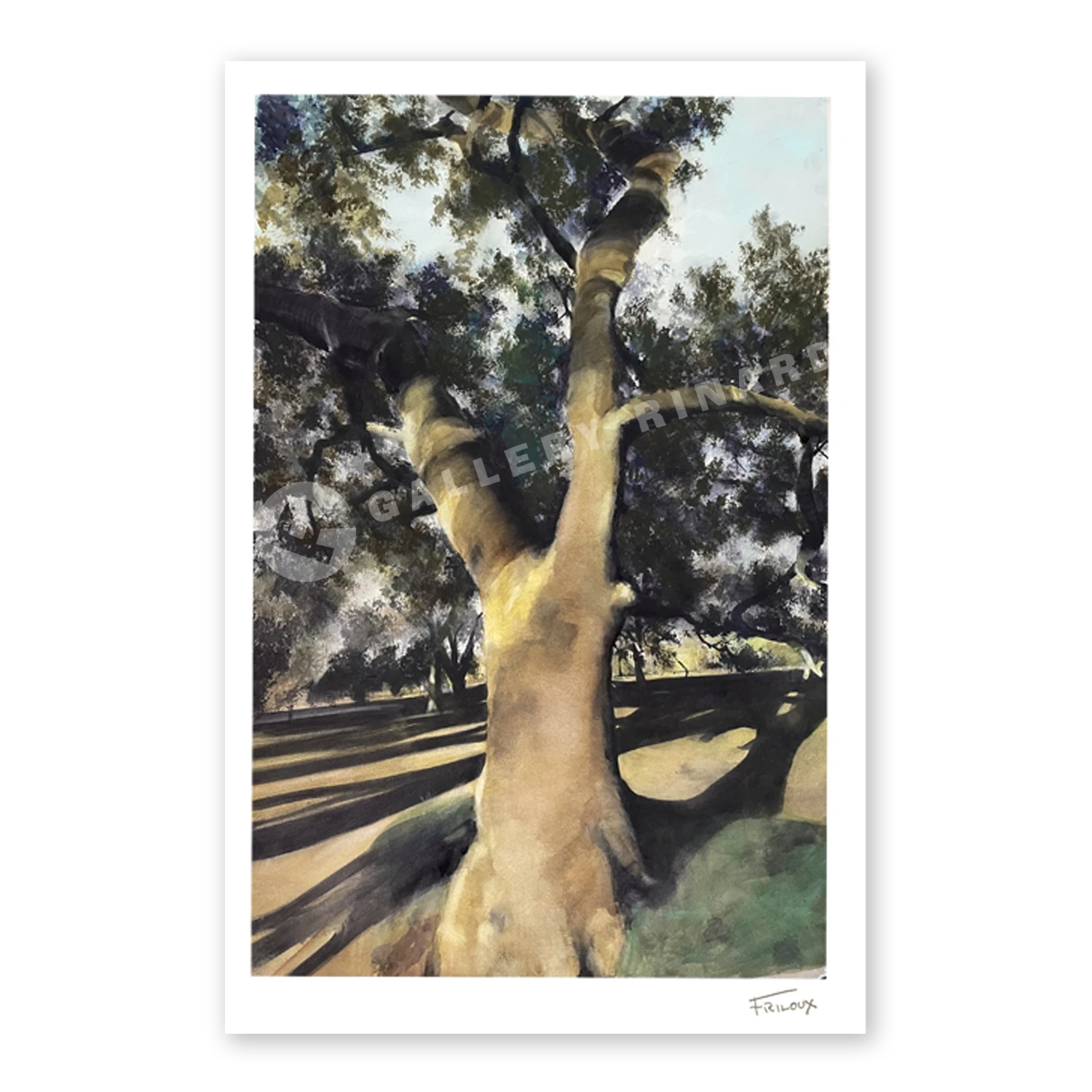 City Park Tree II by Sean Friloux