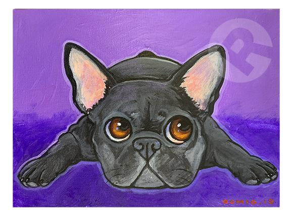 Calvin the Frenchie