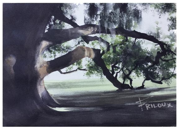 City Park Tree by Sean Friloux