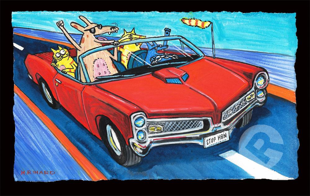 Life In the Fast Lane