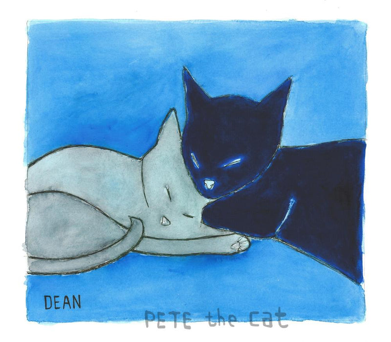 products/PetePalSleep.jpg