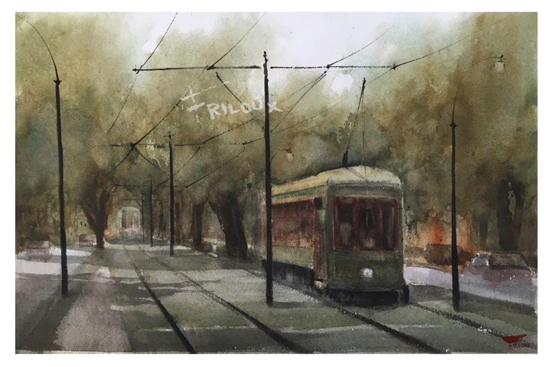 products/SFStreetcarTrees.jpg
