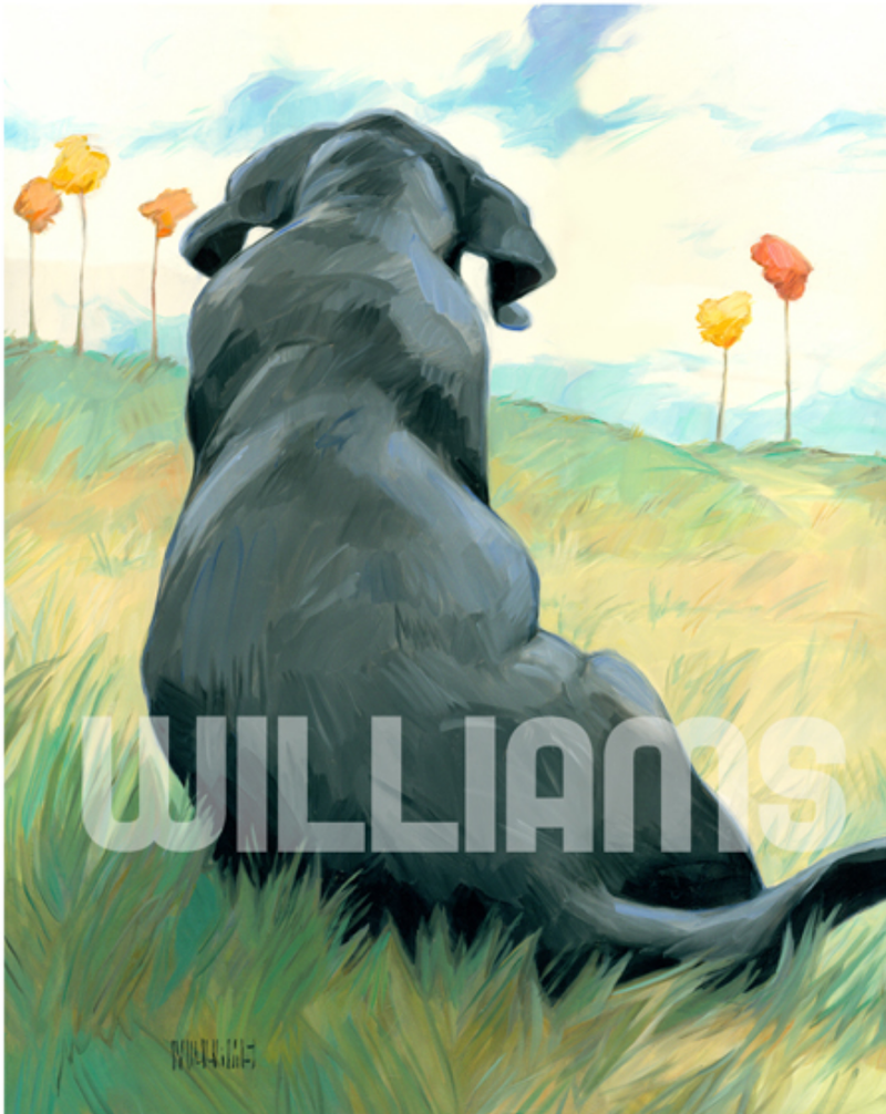 Lazy Day – Gallery Rinard