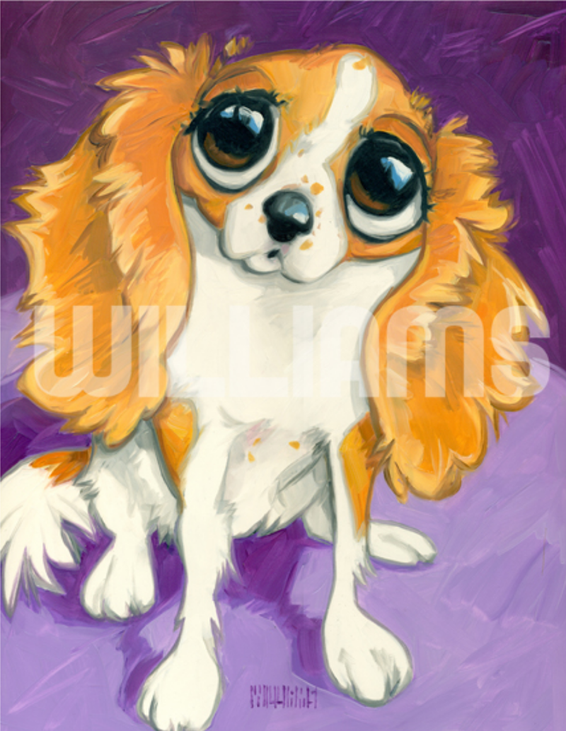 products/Screen_Shot_2018-03-03_at_12.33.03_PM.png