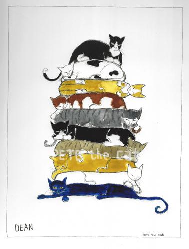Stack of Cats