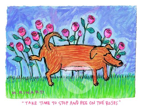 Take Time To Stop & Pee On The Roses