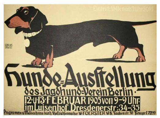 German Dachshund Hunde Ausstellung