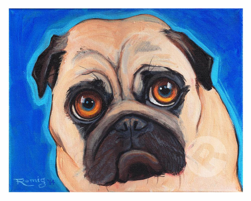 products/fawnPug.jpg